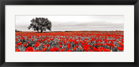 Framed Tree in a Poppy Field 2 Print