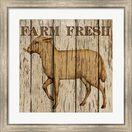 Framed Farm Fresh Lamb Print