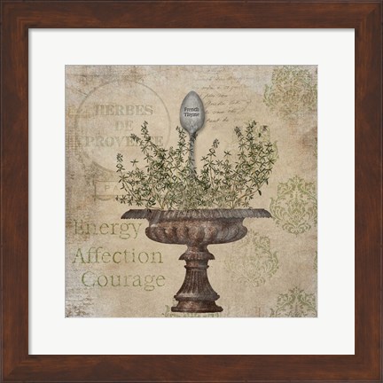 Framed French Thyme Print