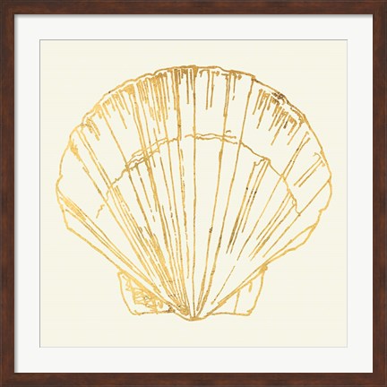 Framed Coastal Breeze Shell Sketches V Print