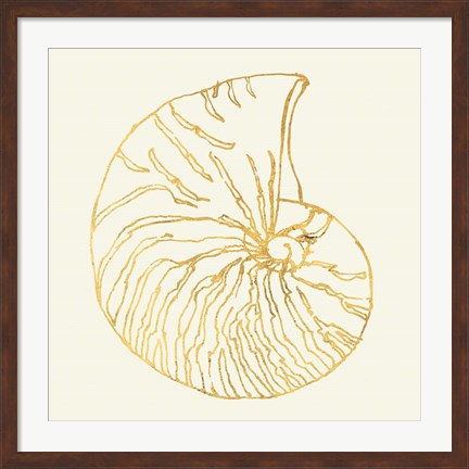 Framed Coastal Breeze Shell Sketches VII Print