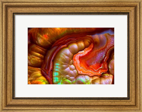 Framed Fire Opal from Australia 1 Print