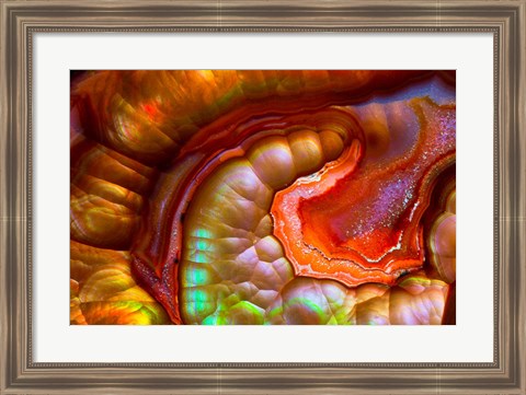 Framed Fire Opal from Australia 1 Print