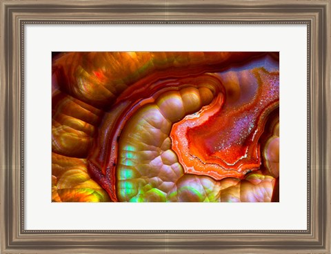 Framed Fire Opal from Australia 1 Print