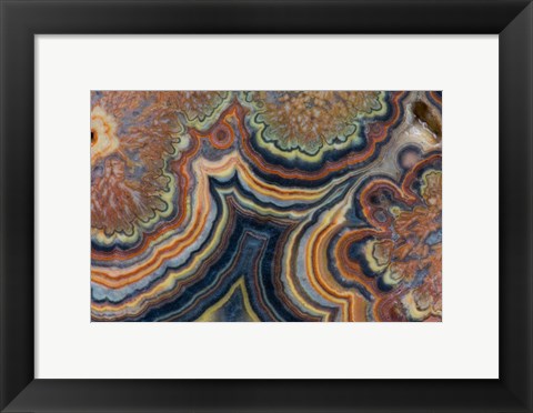 Framed Flowering Tube Onyx, Mexico 2 Print