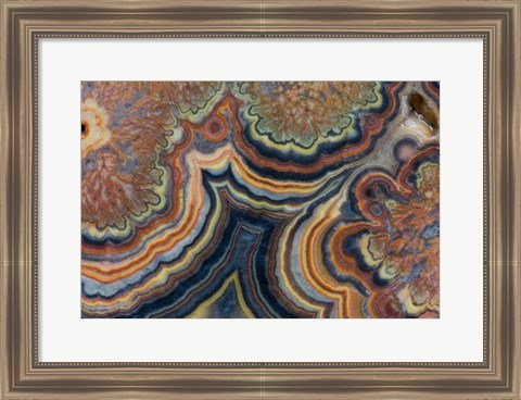 Framed Flowering Tube Onyx, Mexico 2 Print