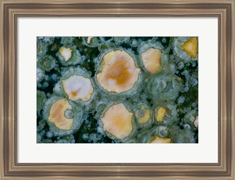 Framed Ocean Jasper from Madagascar 2 Print