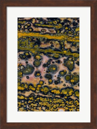 Framed Ocean Jasper from Madagascar 4 Print