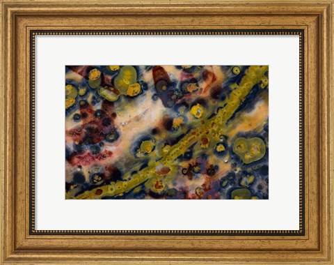 Framed Ocean Jasper from Madagascar 5 Print