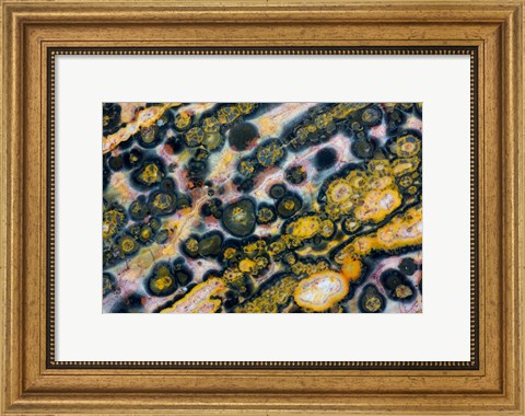 Framed Ocean Jasper from Madagascar 6 Print