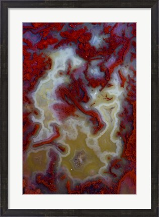 Framed Red Moss Agate Slab Print