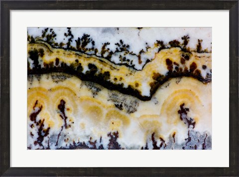 Framed Silver Lace Onyx 1 Print