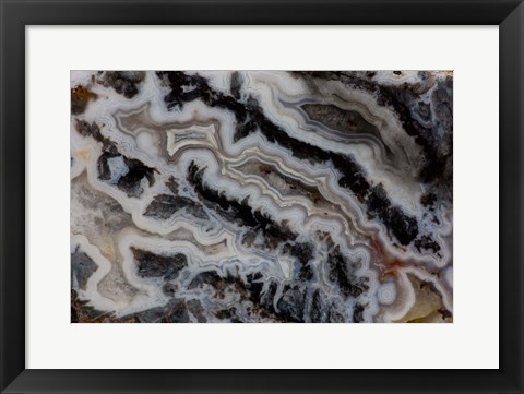 Framed Jasper Agate Mixed slab Print