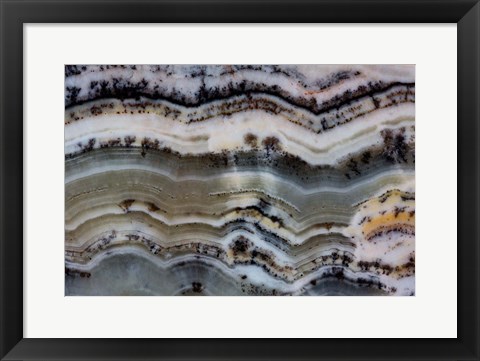 Framed Silver Lace Onyx 2 Print