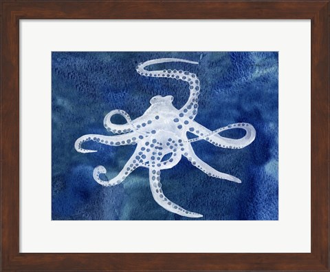 Framed Cephalopod II Print