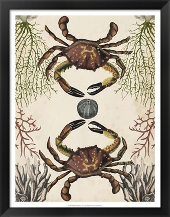 Framed Antiquarian Menagerie - Crab Print