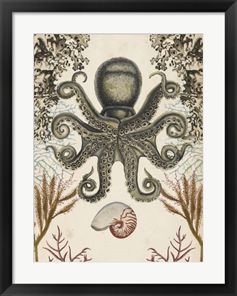 Framed Antiquarian Menagerie - Octopus Print