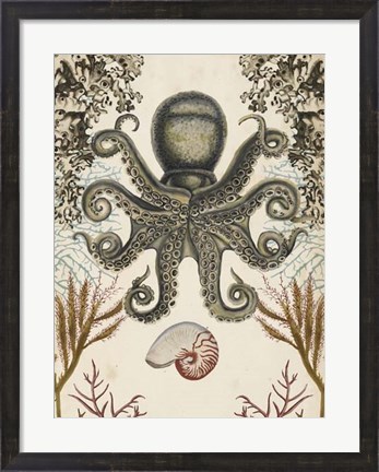 Framed Antiquarian Menagerie - Octopus Print