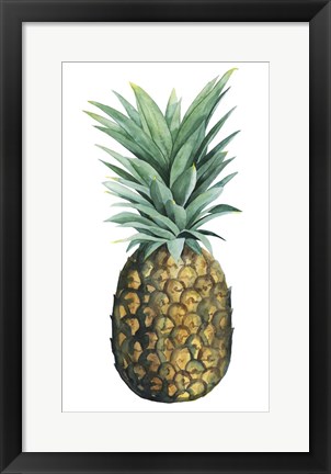 Framed Watercolor Pineapple II Print