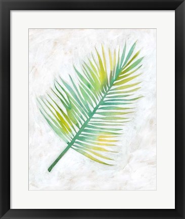 Framed Ocean Side Palms  IV Print