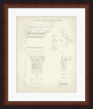 Framed Greek &amp; Roman Architecture II Print