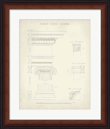 Framed Greek &amp; Roman Architecture V Print