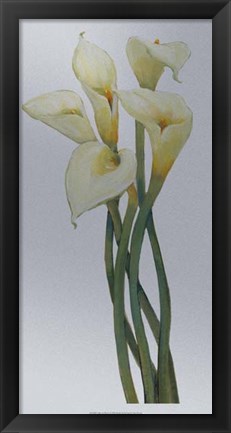 Framed Callas on Silver I Print