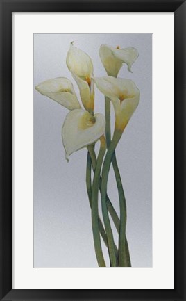 Framed Callas on Silver I Print