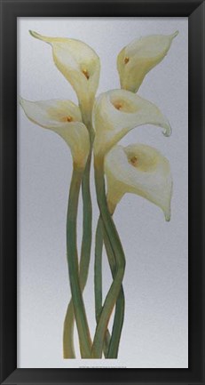 Framed Callas on Silver II Print