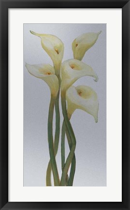 Framed Callas on Silver II Print