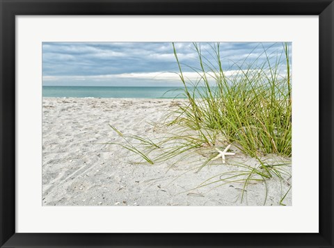 Framed Star Fish and Sea Oats Print