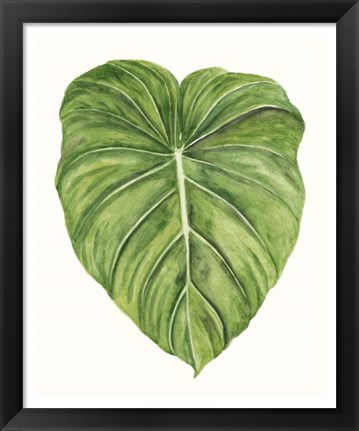 Framed Tropical Breeze Leaves II Print