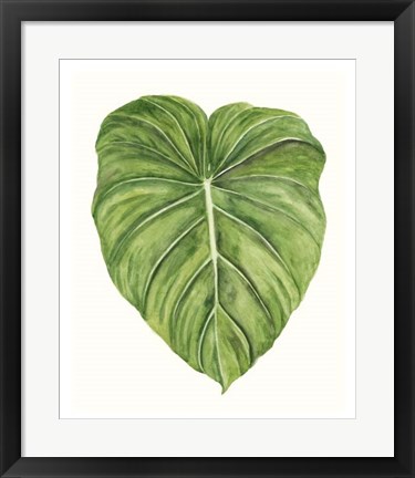 Framed Tropical Breeze Leaves II Print