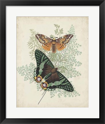 Framed Butterflies &amp; Ferns I Print