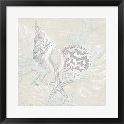 Framed Weathered Shell Sketch II Print