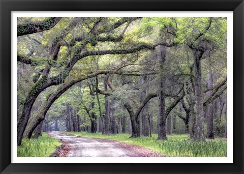 Framed Dirt Road I Print