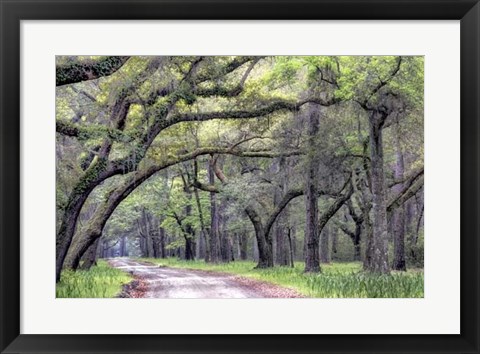 Framed Dirt Road I Print