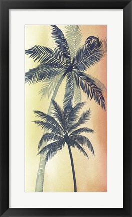 Framed Vintage Palms II Print