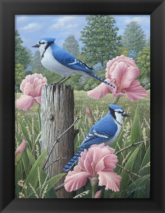 Framed Blue Jays Print