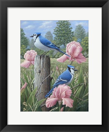 Framed Blue Jays Print