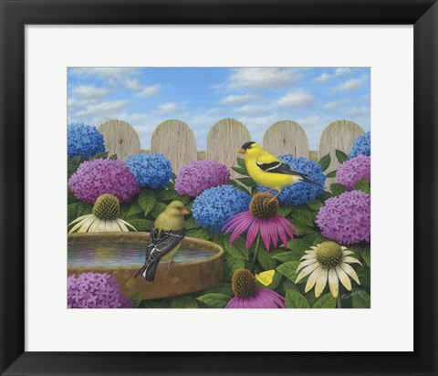 Framed Goldfinches Print