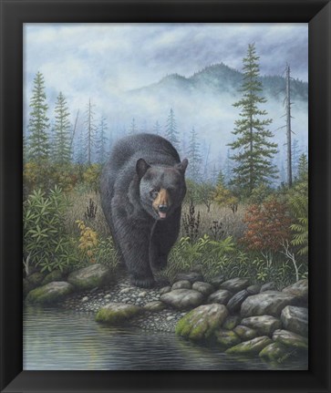 Framed Smoky Mountain Black Bear Print