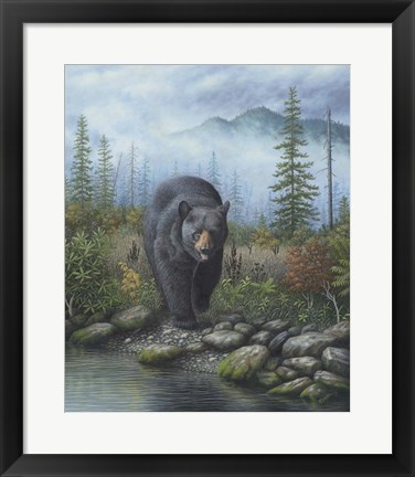 Framed Smoky Mountain Black Bear Print