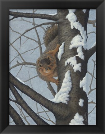 Framed What&#39;s Going On - Fox Squirrel Print