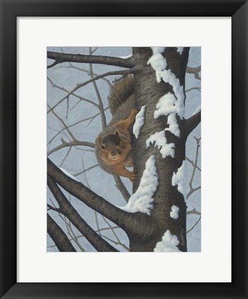 Framed What&#39;s Going On - Fox Squirrel Print