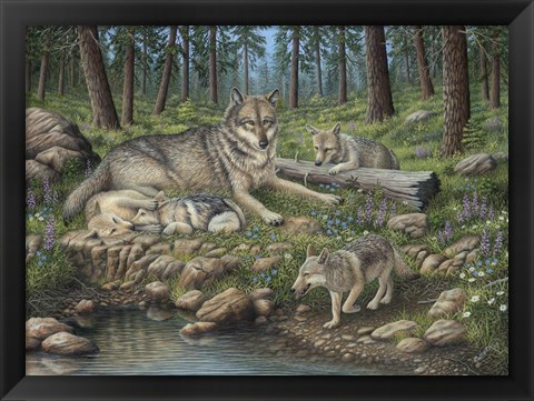 Framed Grey Wolf Mother And Pups Print