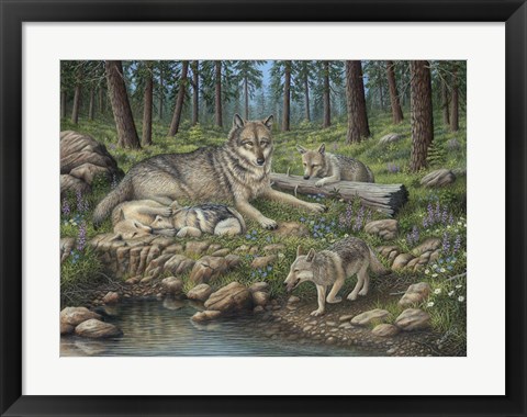 Framed Grey Wolf Mother And Pups Print