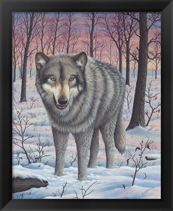 Framed Lone Wolf Print