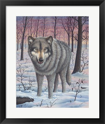 Framed Lone Wolf Print