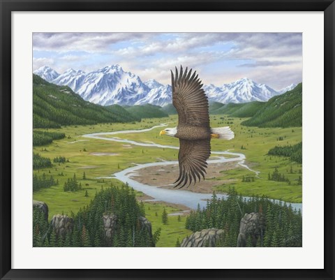 Framed Soaring Above Print